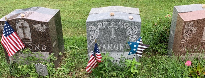 Cemetery of the Holy Rood is one of All-time favorites in United States.