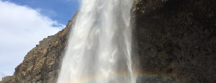 Seljalandsfoss is one of Xinnieさんのお気に入りスポット.