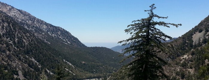 Mt. Baldy is one of Snowboarding Resorts.