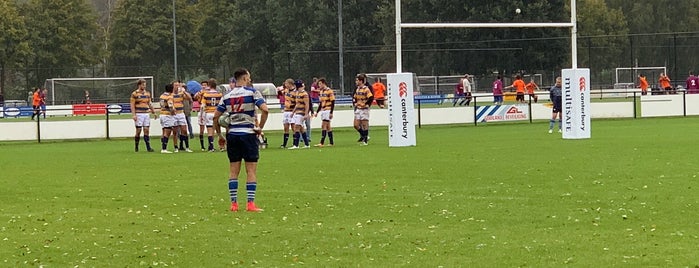 Rugby club Hilversum is one of Petri : понравившиеся места.