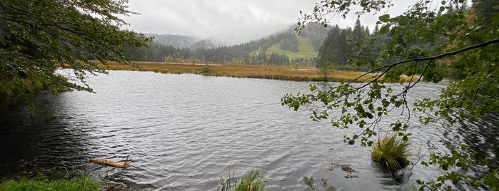 Lac de Lispach is one of Mael'in Beğendiği Mekanlar.