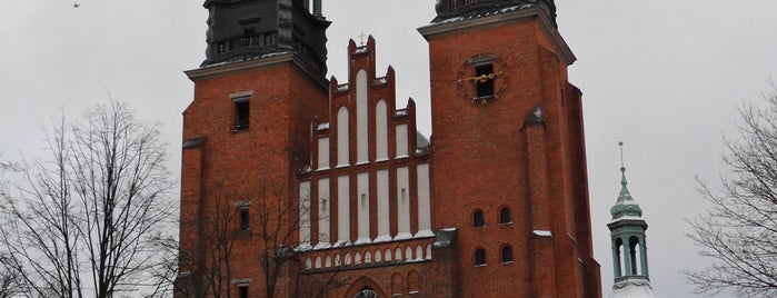 Bazylika Archikatedralna Św. Apostołów Piotra i Pawła (Katedra Poznańska) is one of Trip polski a německi.