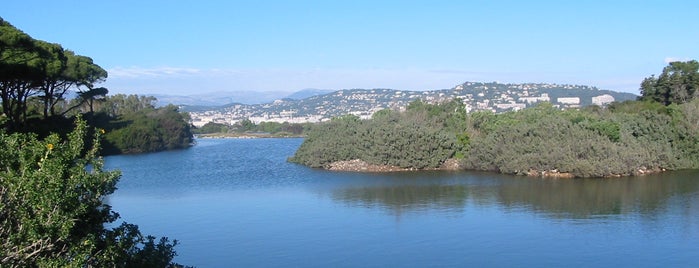 Île Sainte-Marguerite is one of Cotê d'Azur.