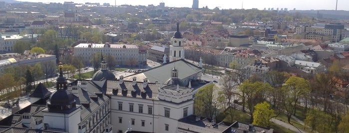 Gedimino Pilies Bokštas | Gediminas’ Tower of the Upper Castle is one of Baltics.