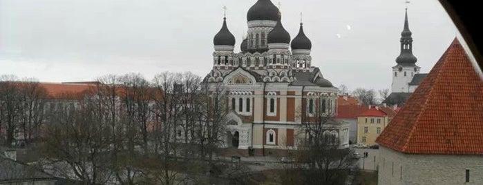 Aleksander Nevski katedraal is one of Baltics.