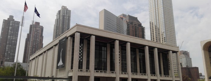 Lincoln Center for the Performing Arts is one of NYC.