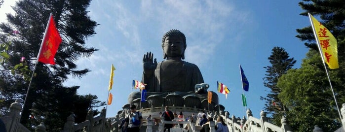 Tian Tan Buddha (Giant Buddha) is one of Top of the Top.