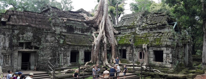 Ta Prohm is one of Top of the Top.