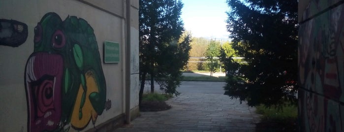 Παιδαγωγικό Τμήμα Δημοτικής Εκπαίδευσης is one of Πανεπιστήμιο Ιωαννίνων (University of Ioannina).