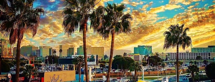 In-N-Out Burger is one of Los Angeles Favorites.