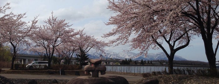 妙高山麓都市農村交流施設 is one of 桜.