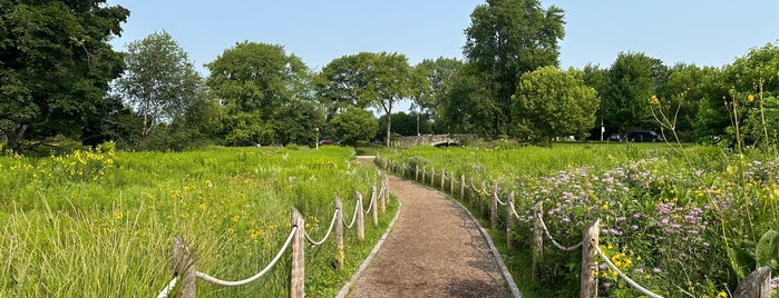 Montrose Nature Area Expansion is one of nature in the city.