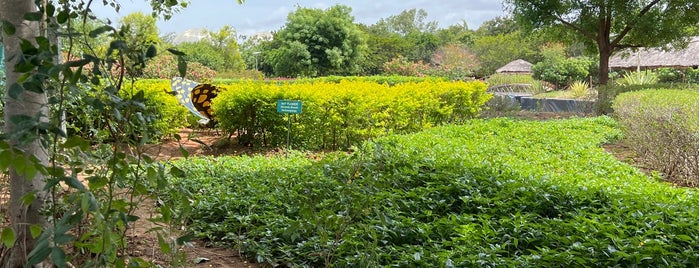 Butterfly Park is one of Trichy.