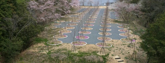 Labyrinth of Cherry Blossoms is one of Art Setouchi & Setouchi Triennale - 瀬戸内国際芸術祭.