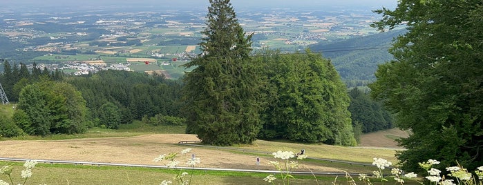 Sommerrodelbahn Grünberg is one of Altmünster.