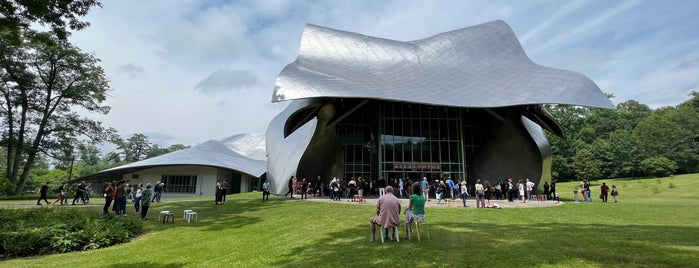 Fisher Center for the Performing Arts is one of Travel art.