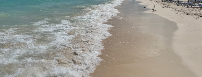 Taino Beach is one of Bahamas.