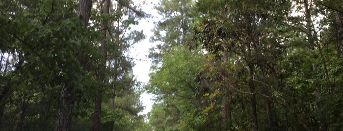 Torreya State Park is one of Florida State Parks.
