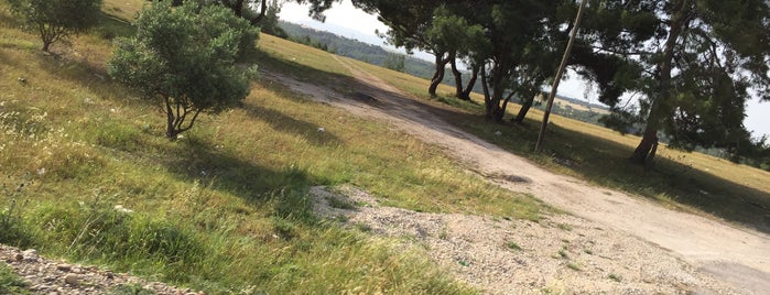 sarıcam ormanları yürüyüş yolu is one of Posti salvati di Asena.