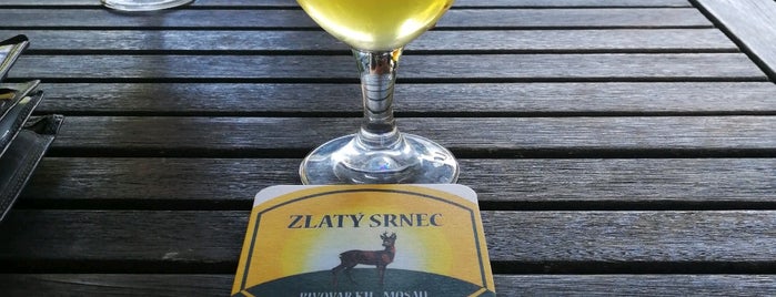 U Zlatého srnce is one of 1 Czech Breweries, Craft Breweries.