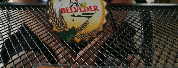 Hotel & pivovar Belveder is one of 1 Czech Breweries, Craft Breweries.