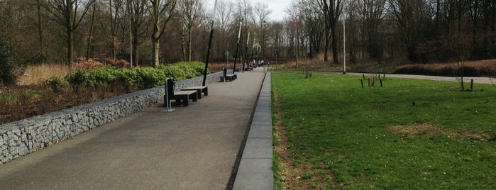 Quirijnstokpark is one of Netherlands.