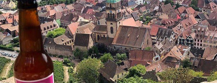 Ruines du Château Impérial de Kaysersberg is one of Best of Alsace.