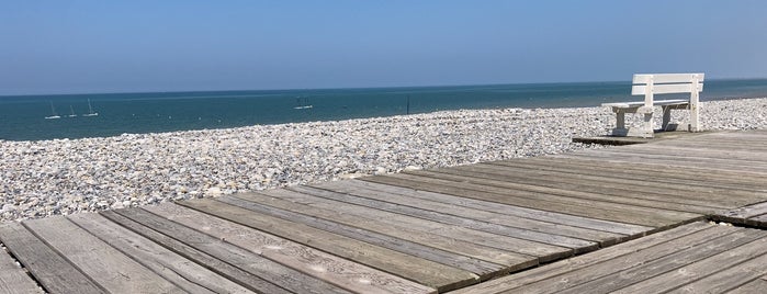 Les Planches de Cayeux is one of IDEAL pines + water.