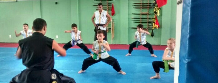 Academia Wushu is one of Places.