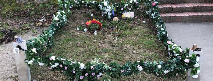 Gregg Almann Grave is one of Orte, die Lizzie gefallen.