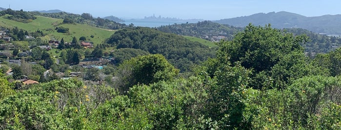 Camino Alto Open Space Preserve is one of Mill Valley & Surrounding.