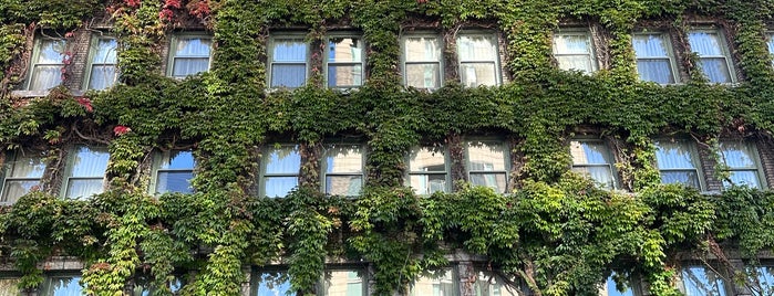 The Sylvia Hotel is one of Downtown Vancouver Hotels.