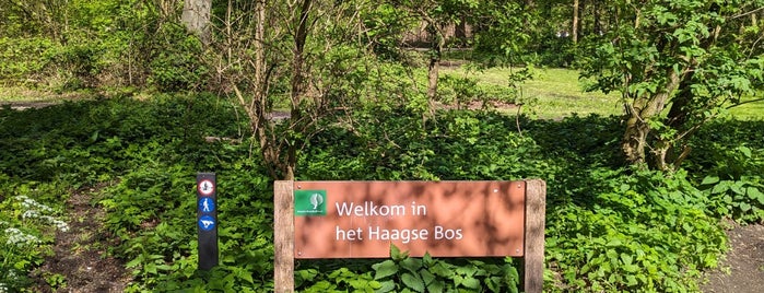 Haagse Bos is one of Den Haag.