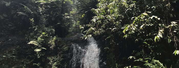 Cascade de Saut Gendarme is one of Martinique.