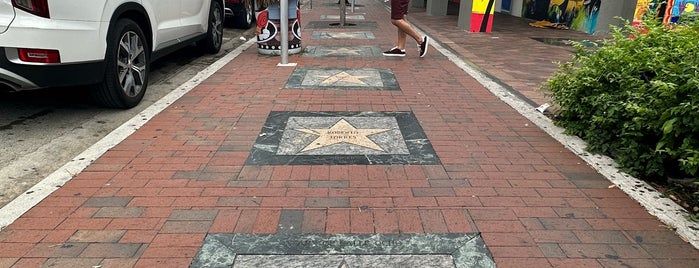 Calle Ocho Walk of Fame is one of Miami FL.