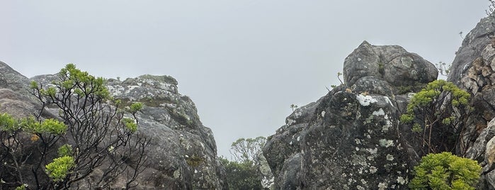 Top of Table Mountain is one of Andrey'in Kaydettiği Mekanlar.