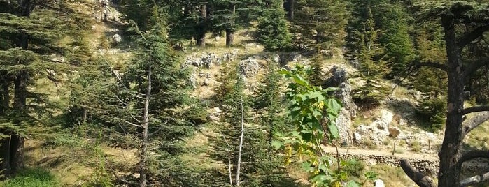 Cedars of God is one of places in lebanon i been to.
