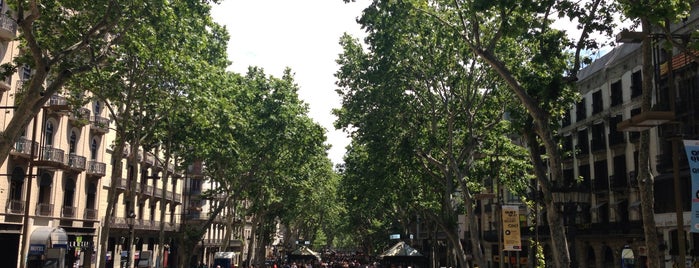 La Rambla is one of Barcelona / Essentials.