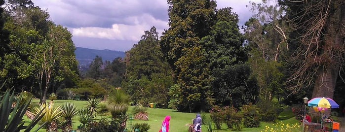 Kebon Raya Cibodas is one of Bogor 'MUST SEE' Places.