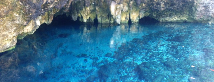 Gran Cenote is one of mexico.