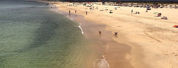 Praia da Ilha de Tavira is one of Beach.