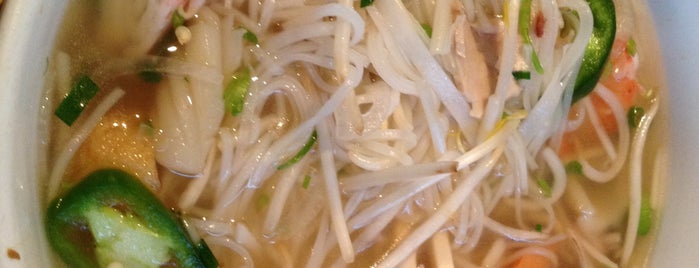 Simply Vietnam is one of Pho & Ramen Favorites in Sonoma County.