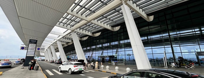 Ningbo Lishe International Airport (NGB) is one of Lugares favoritos de Patricia.