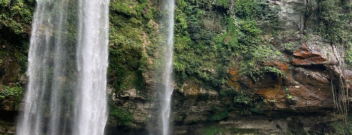 Cascadas de Misol-Ha is one of Chiapas to do.