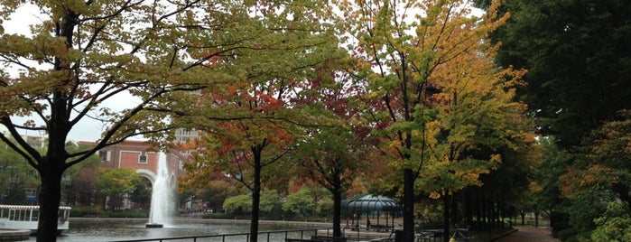 Lechmere Canal Park is one of Bikabout Boston.