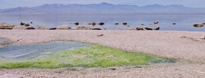 Salton Sea State Recreation Area is one of California.