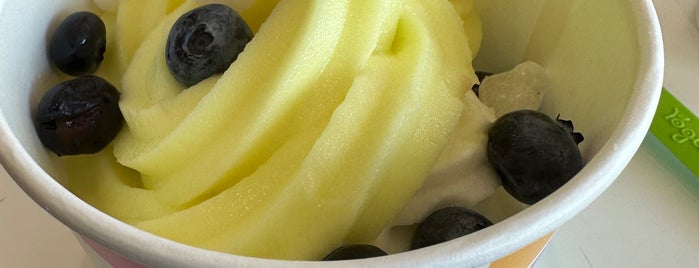 Yogurtland is one of River Song's Sweeties.