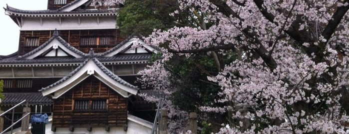 Hiroshima Castle is one of Japan 2016.