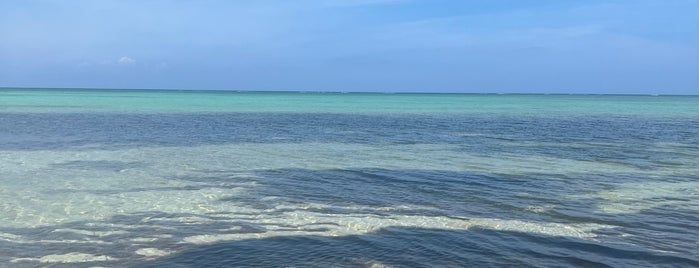 Barkers beach is one of Favorite Places Grand Cayman.