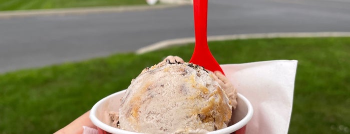 Bruster's Real Ice Cream is one of Favorite Food.